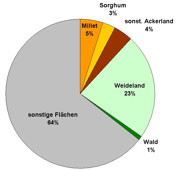 Globale Allmende Niger